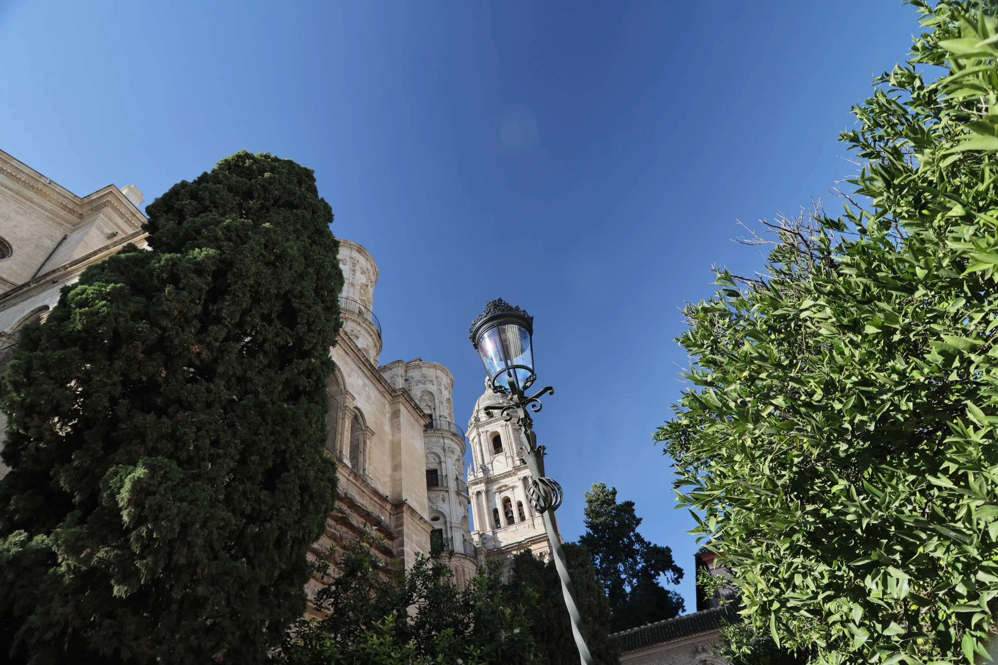 Tokina at-x 116 (EF) - _I4A2256.webp